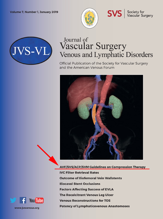Journal of Vascular Surgery Venous and Lymphatic Disorder