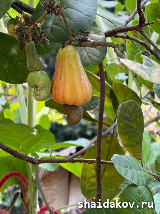 19-� ����������� �������� ���������� ����� 06