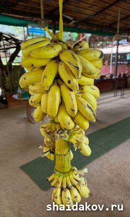 19-� ����������� �������� ���������� ����� 07